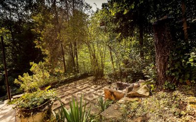 Te mit látsz egészen pontosan ezen a képen?